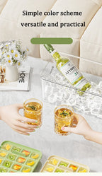 Eiswürfelform mit Behälter